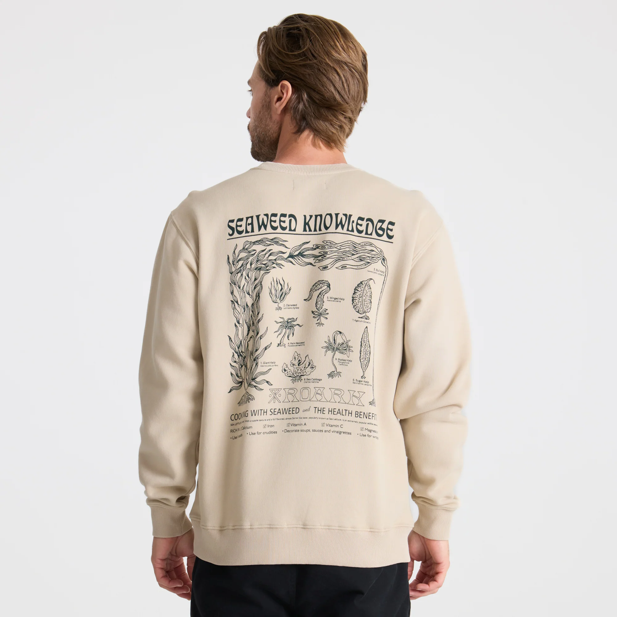 Seaweed Knowledge Fleece - Fossil - Image 6