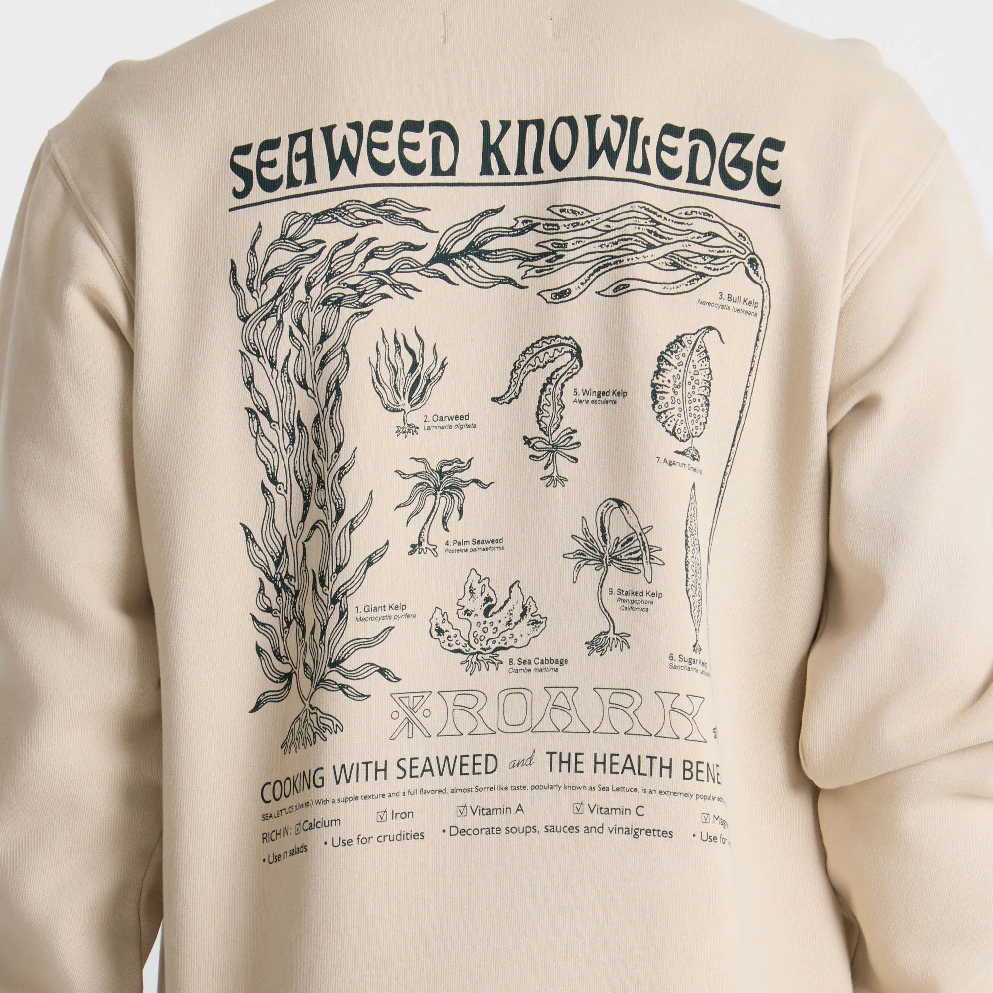 Seaweed Knowledge Fleece - Fossil - Image 7